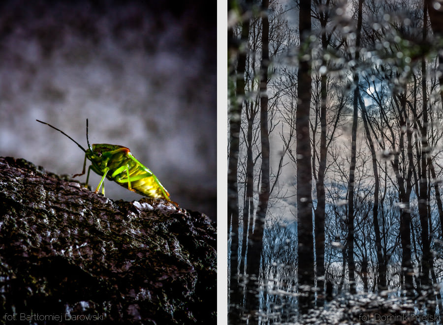zajęcia fotograficzne