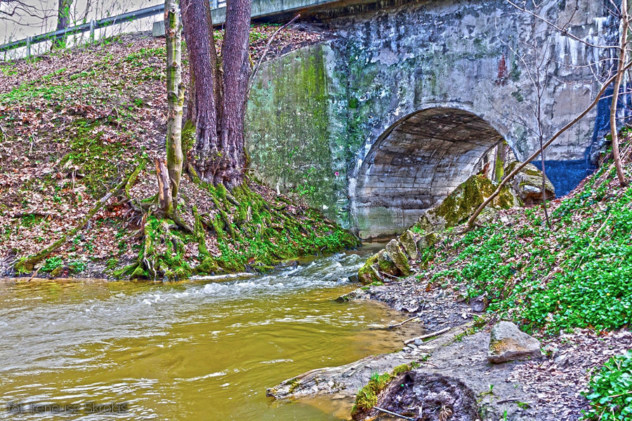 fotografia krajobrazowa