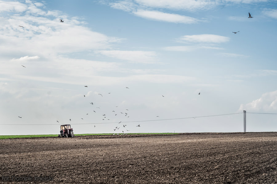 fotografia w okolicach Bielska-Białej