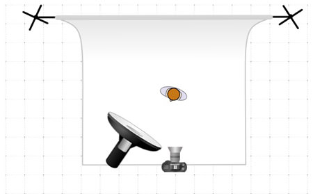 beauty dish