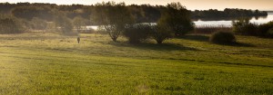 Poranna panorama