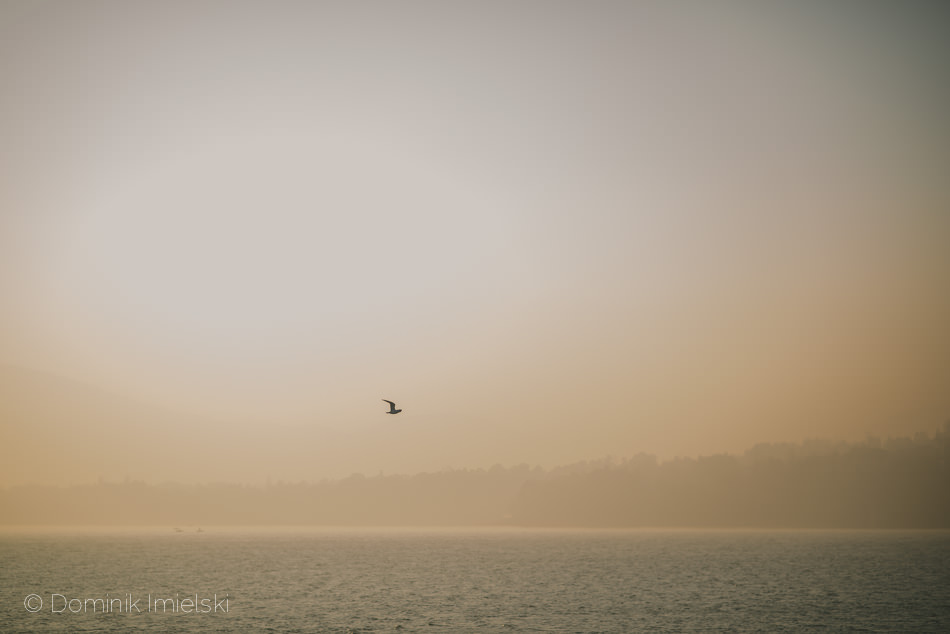 128-reportaz-slubny-zywiec