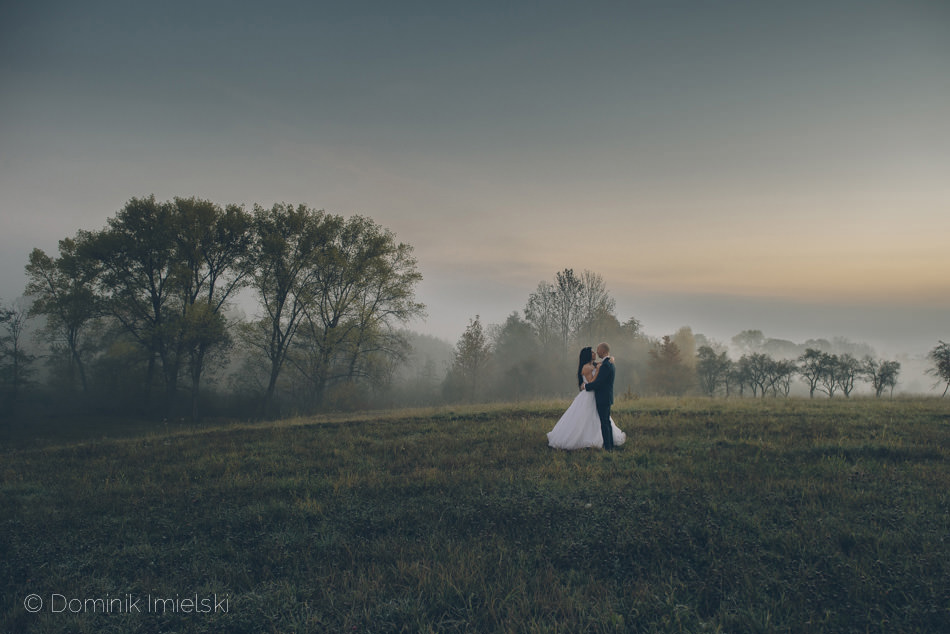 plener ślubny - Bielsko-Biała