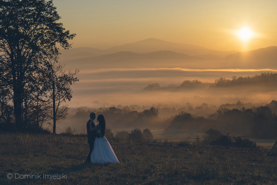 plener ślubny - Bielsko-Biała