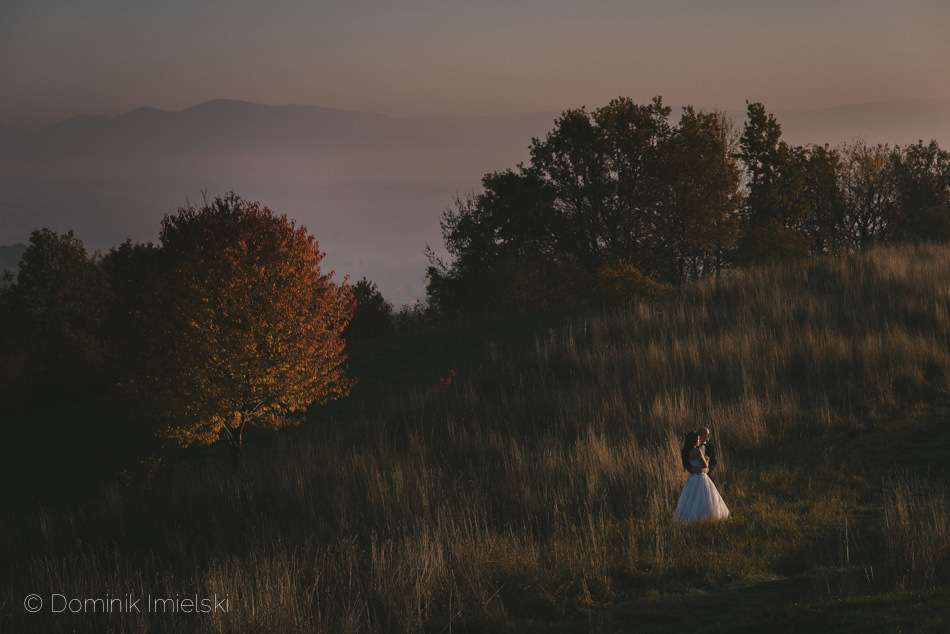 plener ślubny - Bielsko-Biała