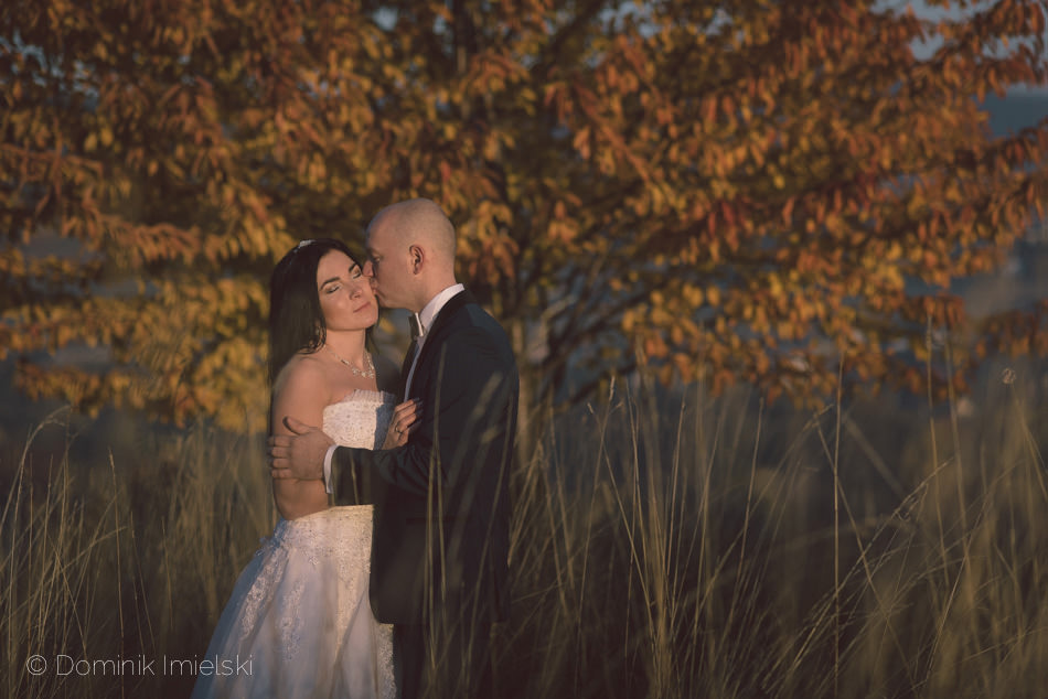 plener ślubny - Bielsko-Biała