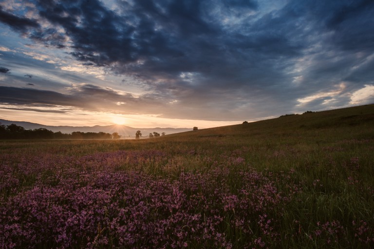 W górach jest wszystko co kocham