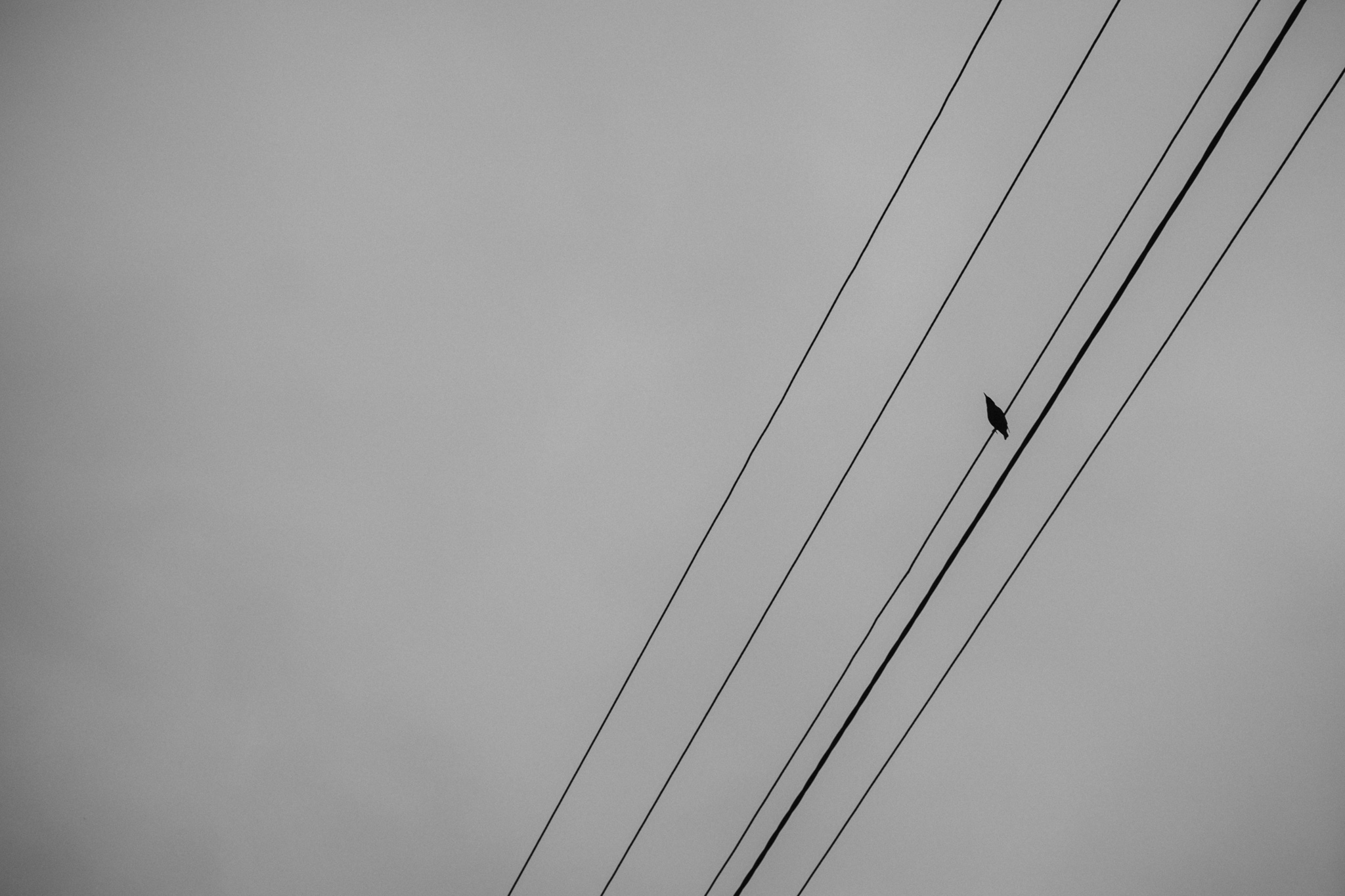 fotografia-i-kompozycja