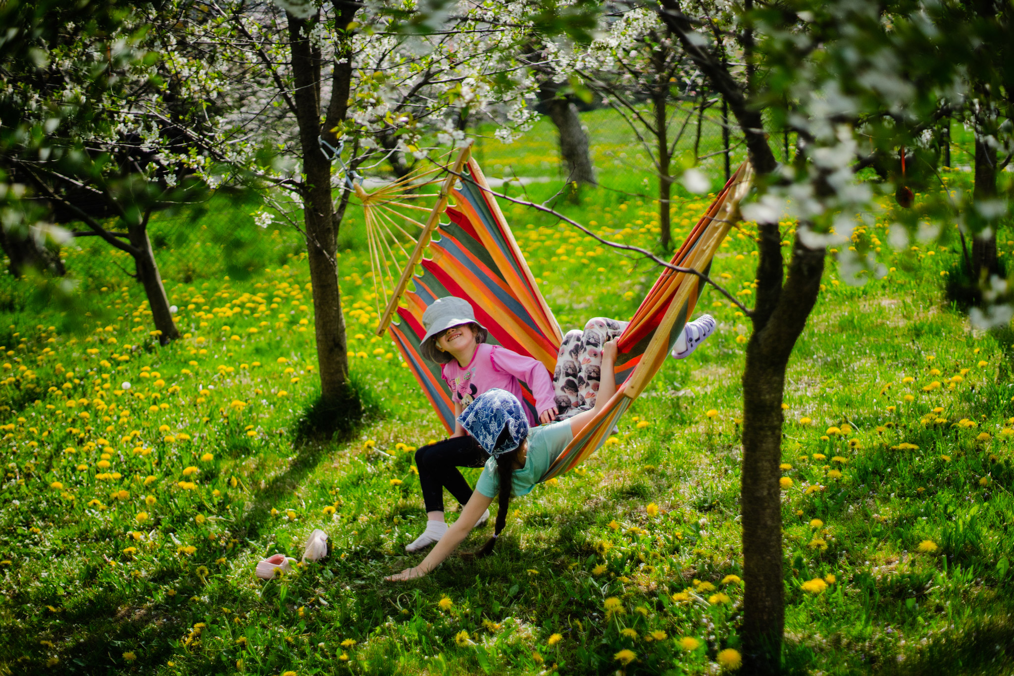 Domowe historie, rodzeństwo i wiosenne zdjęcia w sadzie